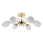 Люстра Arte Lamp A8292PL-6PB TULIP