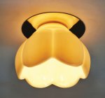 Светильник потолочный Arte lamp A8806PL-1CC OCCHIO