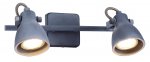 Светильник настенный Arte lamp A9189AP-2GY GOTTO