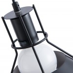 Светильник подвесной Arte Lamp A9347SP-1BK STARK