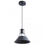 Светильник подвесной Arte Lamp A9347SP-1BK STARK