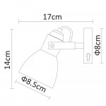 Светильник настенный Arte lamp A9581AP-1AB TULIP
