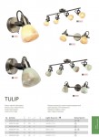 Светильник бра Arte Lamp A9582AP-1AB TULIP