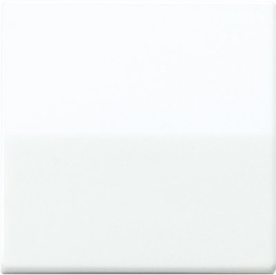 JUNG АS 500 бежевый антибактериальный Накладка светорегулятора/выключателя нажимного (ABAS1561.07) JUNG АS 500 бежевый антибактериальный Накладка светорегулятора/выключателя нажимного (ABAS1561.07)