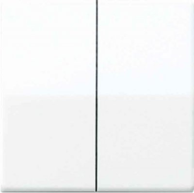 JUNG АS 500 бежевый антибактериальный Накладка светорегулятора 2-х канального нажимного (ABAS1565.07) JUNG АS 500 бежевый антибактериальный Накладка светорегулятора 2-х канального нажимного (ABAS1565.07)