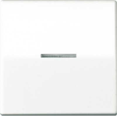 JUNG АS 500 бежевый антибактериальный Клавиша 1-я с/п (ABAS591KO5) JUNG АS 500 бежевый антибактериальный Клавиша 1-я с/п (ABAS591KO5)