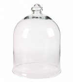 Колпак для цветов Agatha Vase MAK interior AH077 Разноцветный