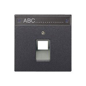 JUNG LS 990 Антрацит Накладка 1-ой наклонной ТЛФ/комп розетки с полем для надписи (AL2969-1NAUAAN) JUNG LS 990 Антрацит Накладка 1-ой наклонной ТЛФ/комп розетки с полем для надписи (AL2969-1NAUAAN)