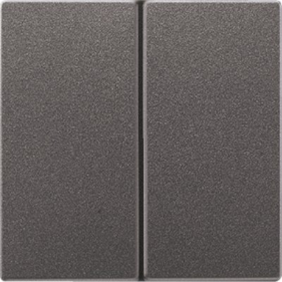 JUNG LS 990 Антрацит Клавиша 2-я (AL2995AN) JUNG LS 990 Антрацит Клавиша 2-я (AL2995AN)