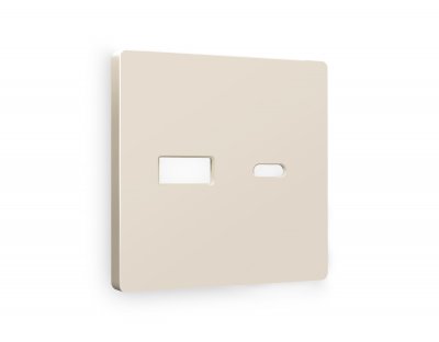 Лицевая панель ALFA (Бежевый матовый) для розетки 2USB A+C QUANT AP3310 Ambrella Volt Лицевая панель ALFA (Бежевый матовый) для розетки 2USB A+C QUANT AP3310 Ambrella Volt
