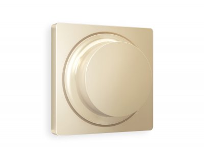 Лицевая панель ALFA (Шампань) для светорегулятора универсального QUANT AP6055 Ambrella Volt Лицевая панель ALFA (Шампань) для светорегулятора универсального QUANT AP6055 Ambrella Volt