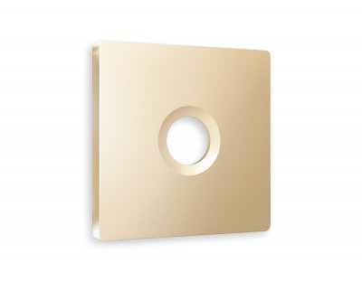 Лицевая панель ALFA (Шампань) для TV розетки QUANT AP6130 Ambrella Volt Лицевая панель ALFA (Шампань) для TV розетки QUANT AP6130 Ambrella Volt