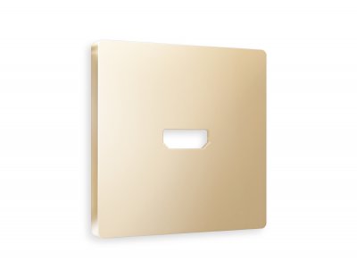 Лицевая панель ALFA (Шампань) для HDMI розетки QUANT AP6140 Ambrella Volt Лицевая панель ALFA (Шампань) для HDMI розетки QUANT AP6140 Ambrella Volt