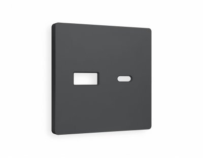 Лицевая панель ALFA (Графит Мягкое касание) для розетки 2USB тип A+C QUANT AP9110 Ambrella Volt Лицевая панель ALFA (Графит Мягкое касание) для розетки 2USB тип A+C QUANT AP9110 Ambrella Volt