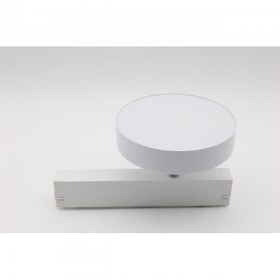 Светильник трековый Aployt APL.0213.10.24 Magnetic track 220