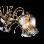 Люстра Maytoni ARM025-05-R Classic