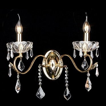 Светильник Maytoni arm215-02-g Elegant 1