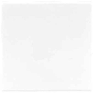 JUNG АS 500 Бел Накладка светорегулятора/выключателя нажимного с ДУ(радио) (AS1561.07FWW) JUNG АS 500 Бел Накладка светорегулятора/выключателя нажимного с ДУ(радио) (AS1561.07FWW)