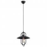 Alfa SALIX BLACK 60456 потолочный светильник