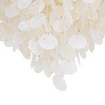 Светильник из ракушек Ben Crezo B11189/5B CR