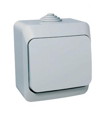 Lexel Этюд Одноклавишный выключатель (СХ. 1) сер. (накладные) (BA10-041c) Lexel Этюд Одноклавишный выключатель (СХ. 1) сер. (накладные) (BA10-041c)