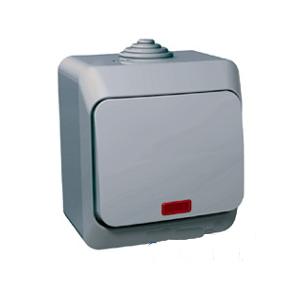 Lexel Этюд Одноклавишный выключатель с подсветкой (СХ.1)сер. (накладные) (BA10-045c) Lexel Этюд Одноклавишный выключатель с подсветкой (СХ.1)сер. (накладные) (BA10-045c)