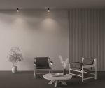 Потолочный светильник Maytoni C007CW-01B Pauline