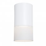 Потолочный светильник Maytoni C007CW-01W Pauline