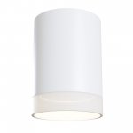 Светильник потолочный Maytoni C008CW-01W белый