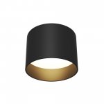 Потолочный светильник Maytoni C009CW-L12B Planet