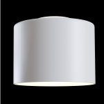 Потолочный светильник Maytoni C009CW-L12W Planet