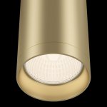 Потолочный светильник Maytoni C010CL-01MG Focus