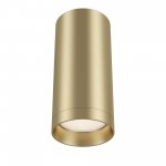 Потолочный светильник Maytoni C010CL-01MG Focus