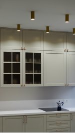 Потолочный светильник Maytoni C010CL-01MG Focus
