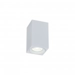 Потолочный светильник Maytoni C011CL-01W Alfa