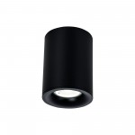 Потолочный светильник Maytoni C012CL-01B Alfa