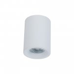 Потолочный светильник Maytoni C012CL-01W Alfa