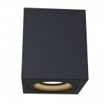 Потолочный светильник Maytoni C013CL-01B Alfa