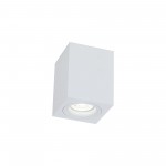 Потолочный светильник Maytoni C013CL-01W Alfa