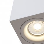 Потолочный светильник Maytoni C013CL-01W Alfa