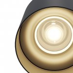 Потолочный светильник Maytoni C014CL-01B Alfa