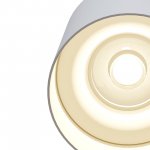 Потолочный светильник Maytoni C014CL-01W Alfa