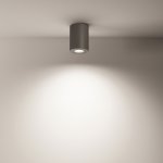 Потолочный светильник Maytoni C016CL-01B Alfa