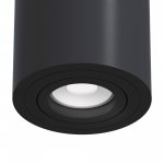 Потолочный светильник Maytoni C016CL-01B Alfa