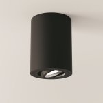 Потолочный светильник Maytoni C016CL-01B Alfa