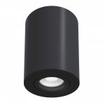 Потолочный светильник Maytoni C016CL-01B Alfa