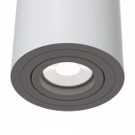 Потолочный светильник Maytoni C016CL-01W Alfa