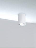 Потолочный светильник Maytoni C016CL-01W Alfa