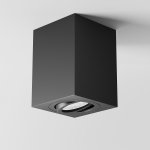 Светильник потолочный Maytoni C017CL-01B