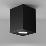 Светильник потолочный Maytoni C017CL-01B